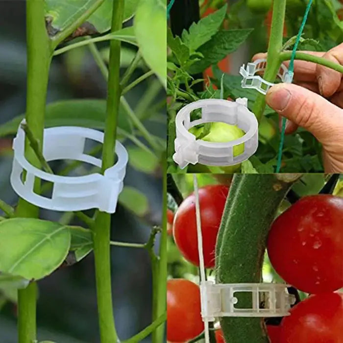 Planten Steun Clipjes