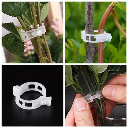 Planten Steun Clipjes