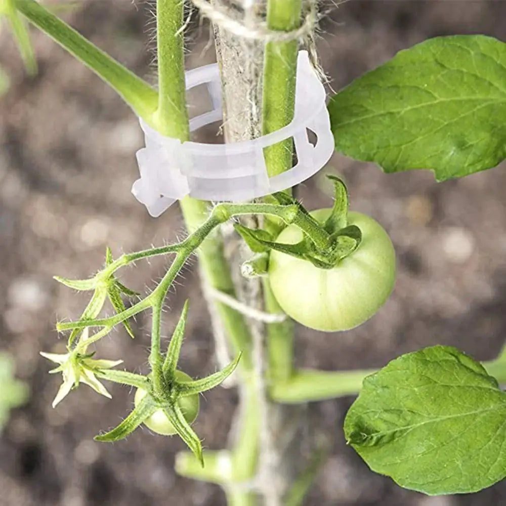 Planten Steun Clipjes